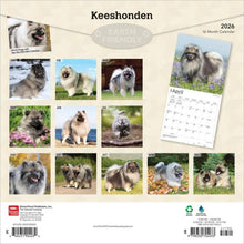 Load image into Gallery viewer, Browntrout Keeshonden 2026 12 x 12 Wall Calendar