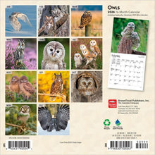 Load image into Gallery viewer, Browntrout Owls 2026 7 x 7 Mini Calendar
