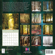 Load image into Gallery viewer, Sellers Publishing Enchanted Pathways 2026 12 x 12 Wall Calendar