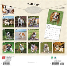 Load image into Gallery viewer, Browntrout Bulldogs 2026 12 x 12 Wall Calendar