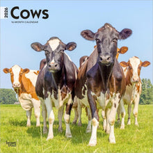 Load image into Gallery viewer, Browntrout Cows 2026 12 x 12 Wall Calendar
