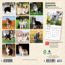Load image into Gallery viewer, Browntrout Australian Shepherds 2026 7 x 7 Mini Calendar