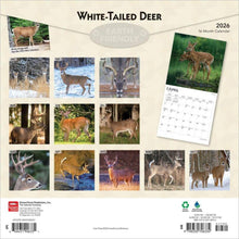 Load image into Gallery viewer, Browntrout White Tailed Deer 2026 12 x 12 Wall Calendar