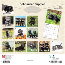 Load image into Gallery viewer, Browntrout Schnauzer Puppies 2026 12 x 12 Wall Calendar