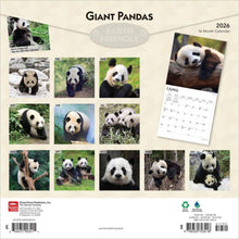 Load image into Gallery viewer, Browntrout Giant Pandas 2026 12 x 12 Wall Calendar