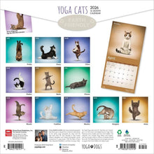 Load image into Gallery viewer, Browntrout Yoga Cats OFFICIAL 2026 12 x 12 Wall Calendar