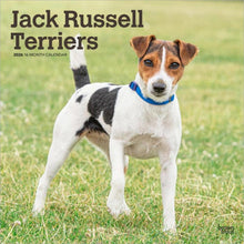 Load image into Gallery viewer, Browntrout Jack Russell Terriers 2026 12 x 12 Wall Calendar