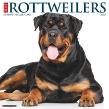 Load image into Gallery viewer, Willow Creek Just Rottweilers 2023 12" x 12" Wall Calendar