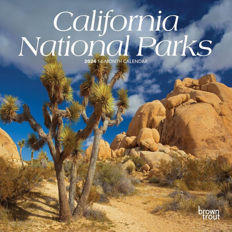 Browntrout California National Parks 2024 7 x 7 Mini Calendar