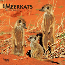 Load image into Gallery viewer, Browntrout Meerkats 2024 7 x 7 Mini Calendar
