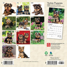 Load image into Gallery viewer, Browntrout Yorkshire Terrier Puppies 2024 7 x 7 Mini Calendar
