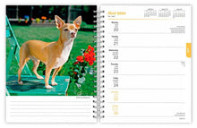 Load image into Gallery viewer, Browntrout Chihuahuas 2024 6 x 7.75 Inch Engagement Planner
