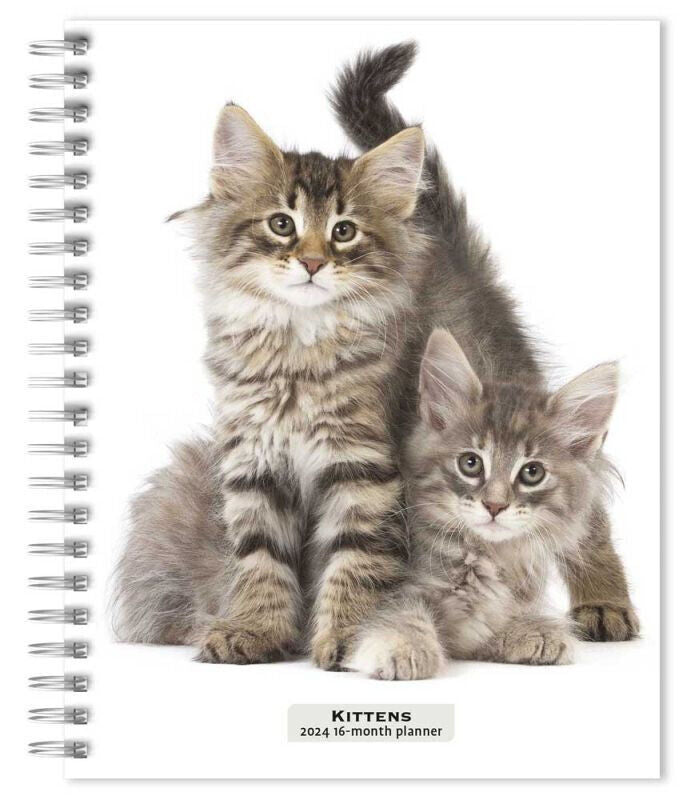 Browntrout Kittens 2024 6 x 7.75 Inch Engagement Planner