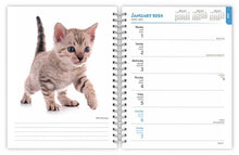 Load image into Gallery viewer, Browntrout Kittens 2024 6 x 7.75 Inch Engagement Planner
