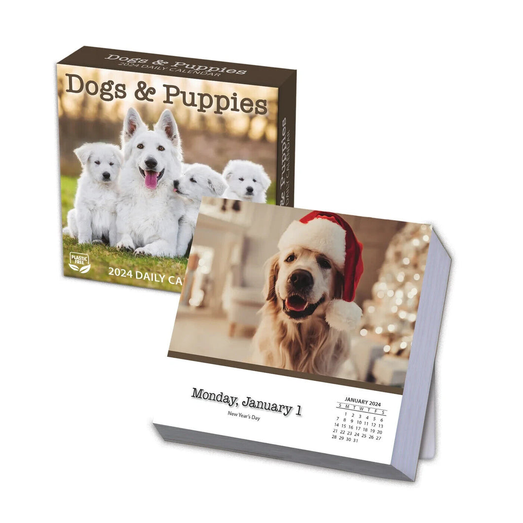 Turner Dogs & Puppies 2024 Daily Boxed Calendar