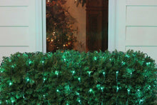 Load image into Gallery viewer, 4&#39; x 6&#39; Green LED Wide Angle Christmas Net Lights - Green Wire
