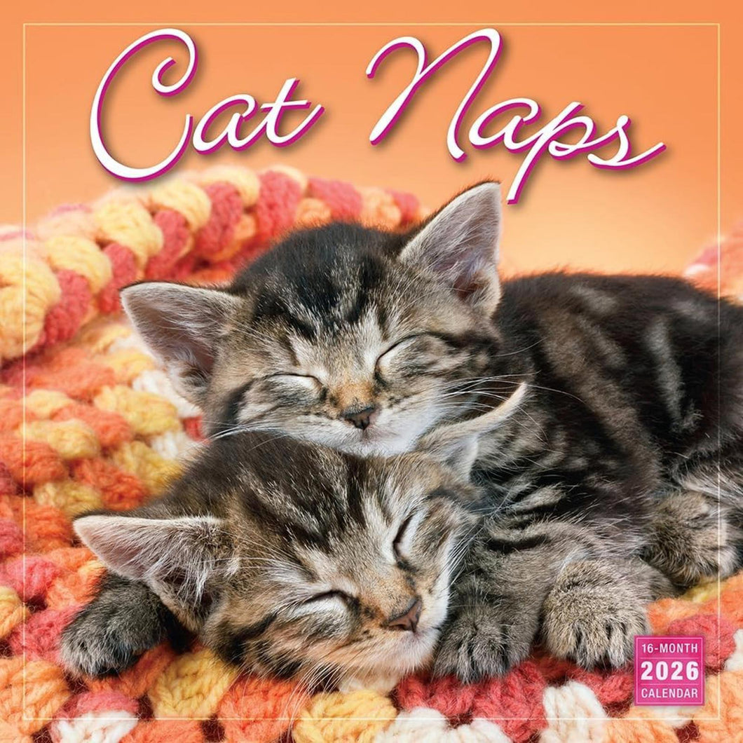 Sellers Publishing Cat Naps 2026 12 x 12 Wall Calendar