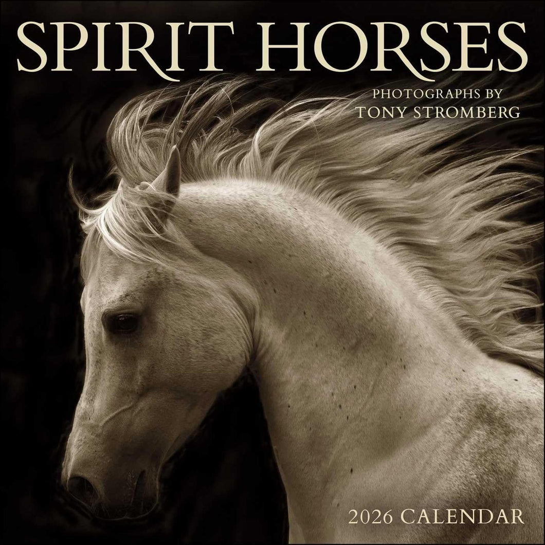 Amber Lotus Spirit Horses 12x12 2026 Wall Calendar