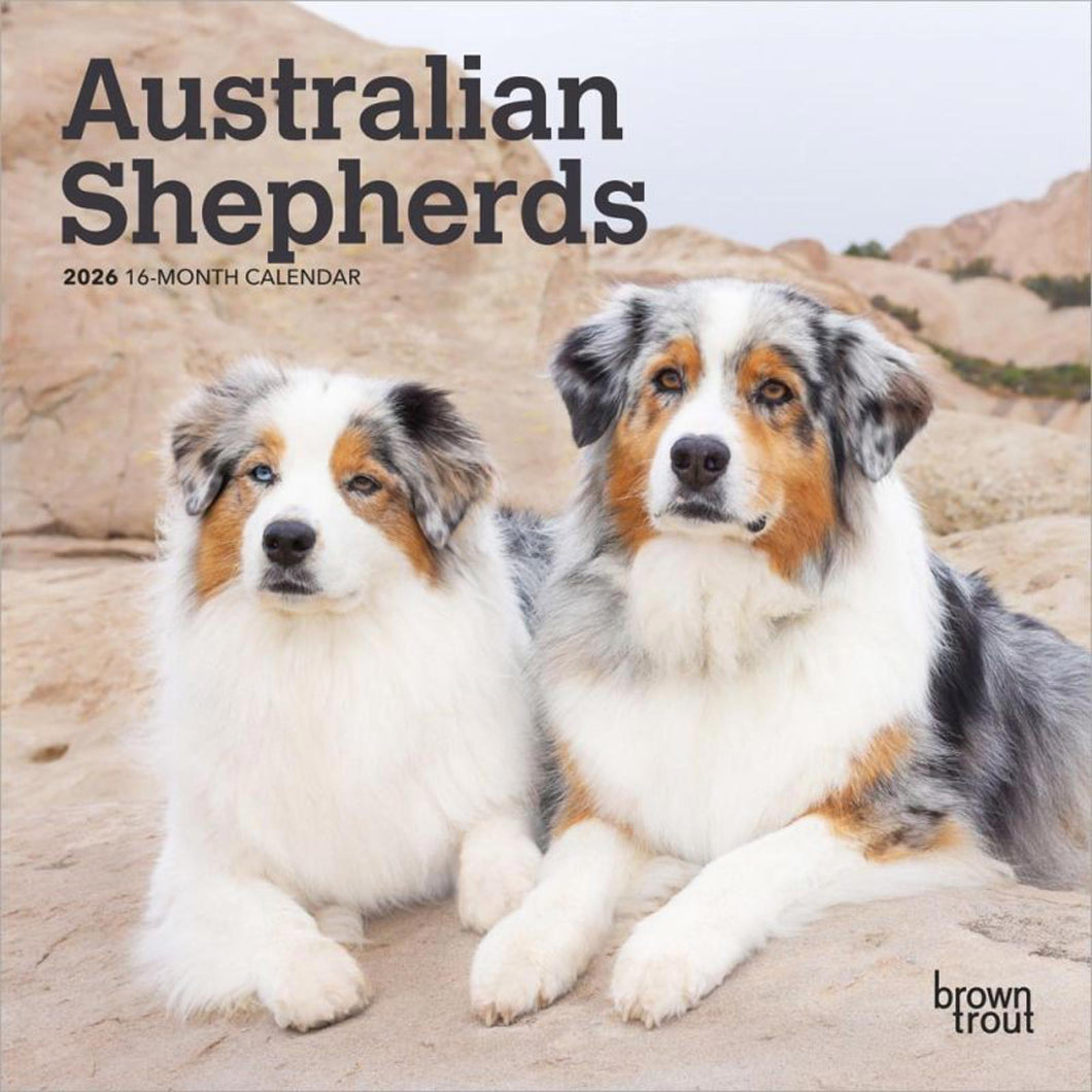 Browntrout Australian Shepherds 2026 7 x 7 Mini Calendar