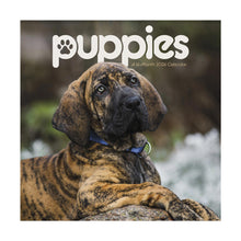 Load image into Gallery viewer, Trends International Puppies 2026 12 x 12 Wall Calendar
