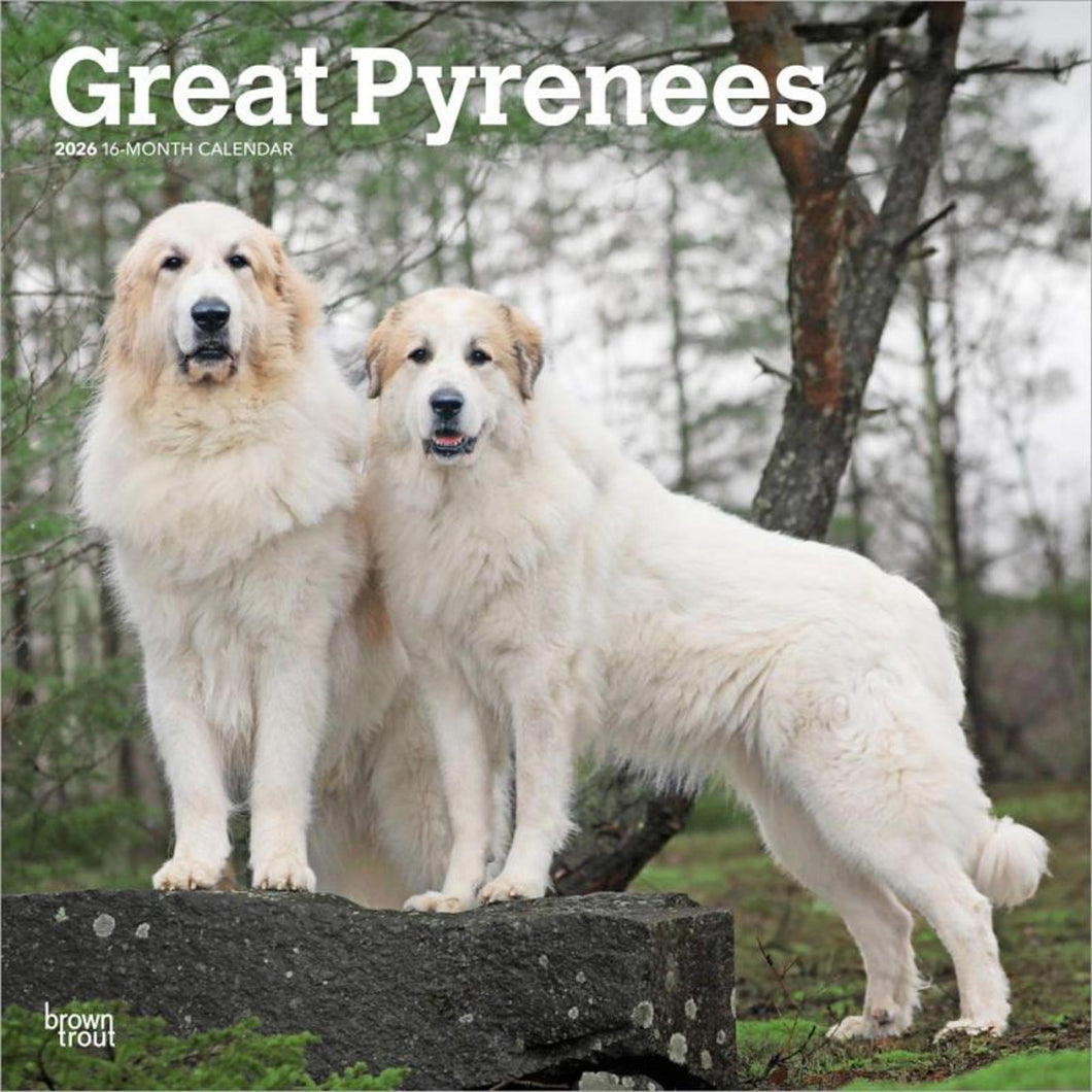 Browntrout Great Pyrenees 2026 12 x 12 Wall Calendar