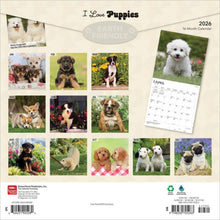 Load image into Gallery viewer, Browntrout I Love Puppies 2026 12 x 12 Wall Calendar
