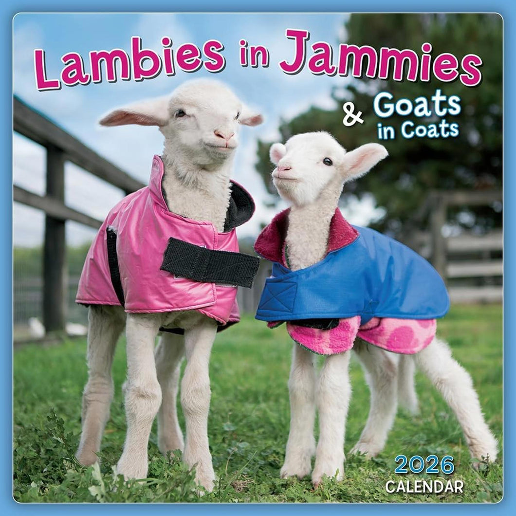 Sellers Publishing Lambies In Jammies 2026 7 x 7 Mini Calendar
