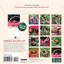 Load image into Gallery viewer, Workman Original Sloths 2026 Mini Calendar

