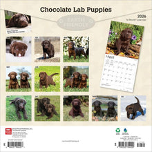 Load image into Gallery viewer, Browntrout Chocolate Labrador Retriever Puppies 2026 12 x 12 Wall Calendar
