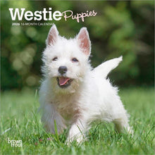Load image into Gallery viewer, Browntrout West Highland White Terrier Puppies 2026 7 x 7 Mini Calendar
