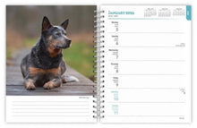 Load image into Gallery viewer, Browntrout Blue Heelers 2026 6 x 7.75 Weekly Engagement Planner
