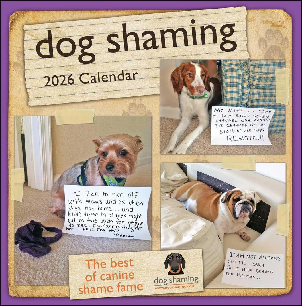 Andrews McMeel Dog Shaming 12x12 2026 Wall Calendar
