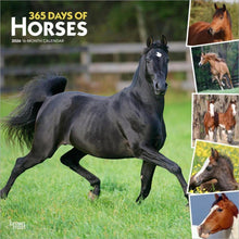 Load image into Gallery viewer, Browntrout 365 Days of Horses 2026 12 x 12 Wall Calendar
