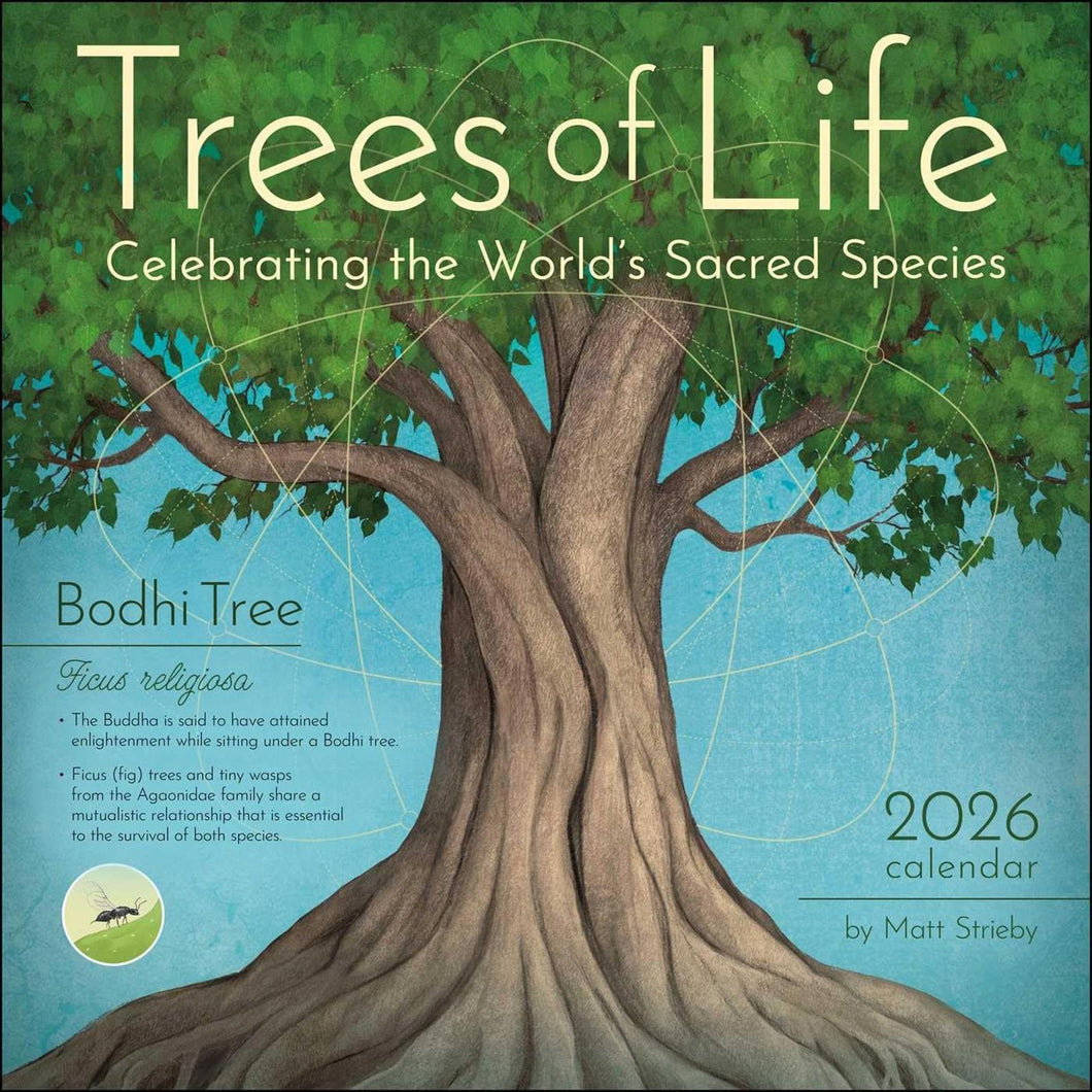 Amber Lotus Trees of Life 12x12 2026 Wall Calendar