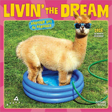 Load image into Gallery viewer, Browntrout Avanti Livin&#39; the Dream OFFICIAL 2026 7 x 7 Mini Calendar
