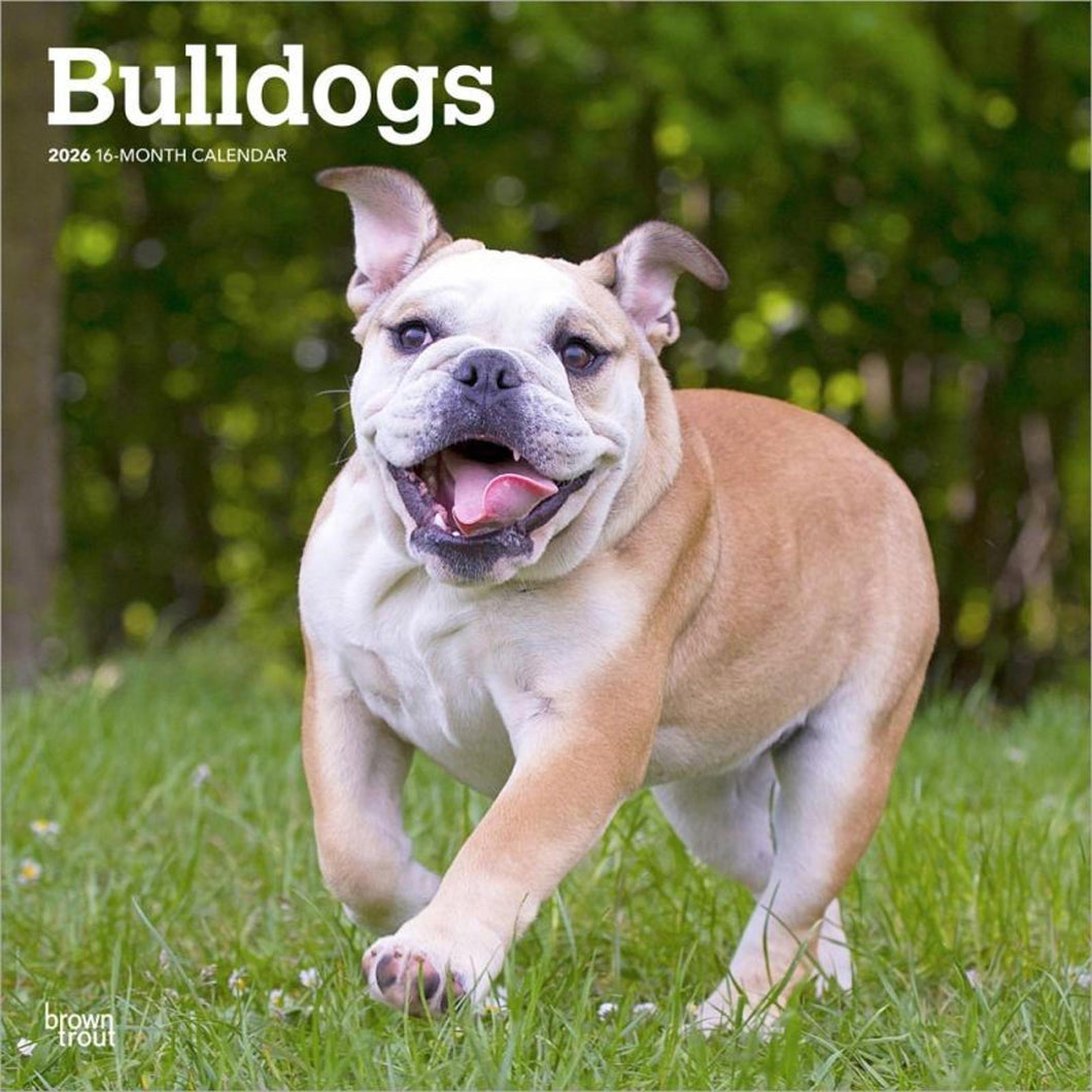 Browntrout Bulldogs 2026 12 x 12 Wall Calendar