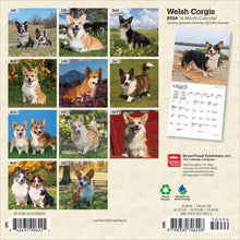 Load image into Gallery viewer, Browntrout Welsh Corgis 2026 7 x 7 Mini Calendar
