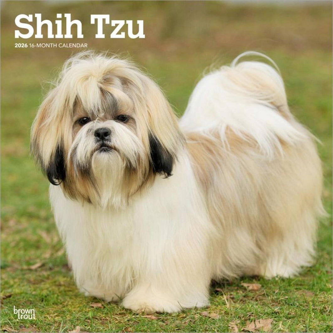 Browntrout Shih Tzu 2026 12 x 12 Wall Calendar