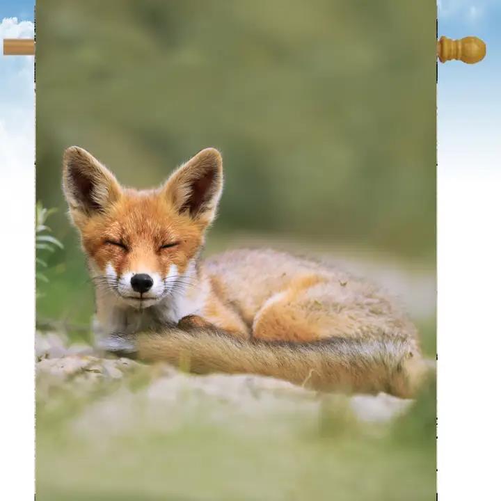 Flags Galore Sleeping Fox House Flag