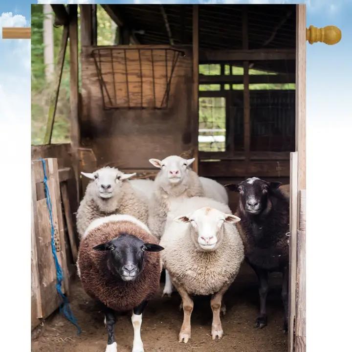 Flags Galore Sheep Group House Flag