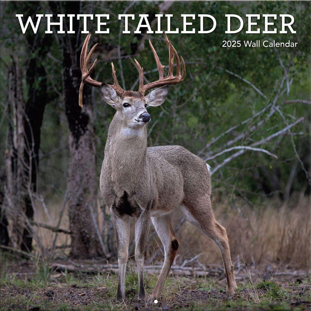 Turner White Tailed Deer 12x12 Photo 2025 Wall Calendar