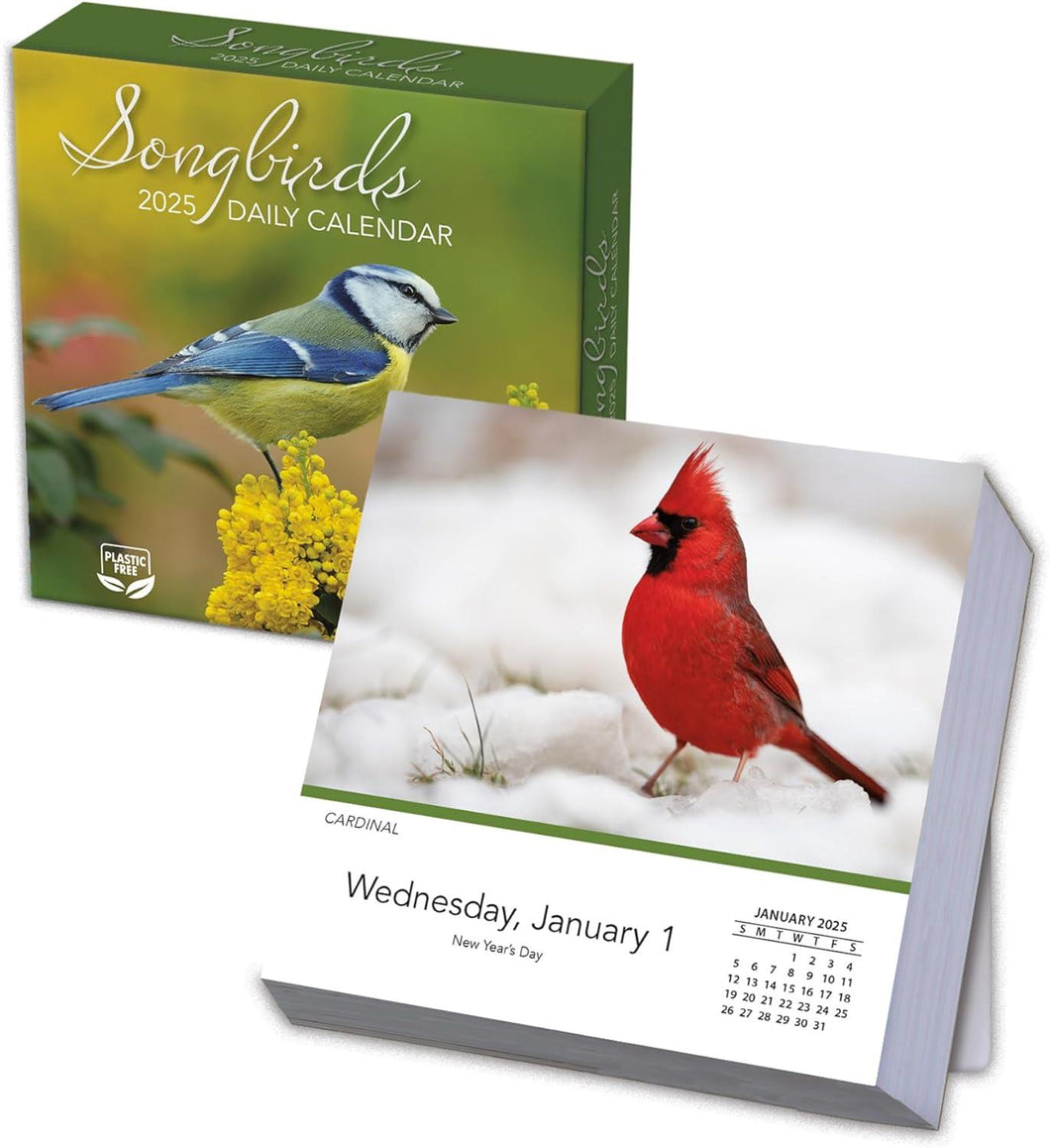Turner Songbirds Photo 2025 Daily Boxed Calendar