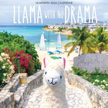 Load image into Gallery viewer, Graphique Llama With No Drama 2025 7 x 7 Mini Calendar

