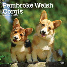 Load image into Gallery viewer, Browntrout Pembroke Welsh Corgis 2025 12 x 12 Wall Calendar
