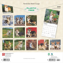 Load image into Gallery viewer, Browntrout Pembroke Welsh Corgis 2025 12 x 12 Wall Calendar

