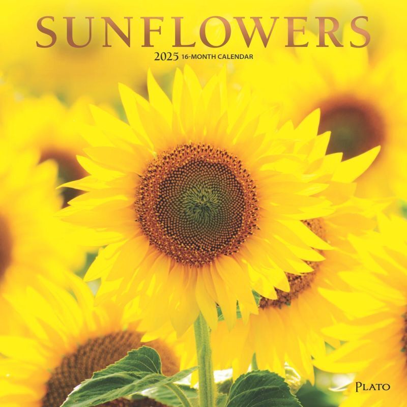Browntrout Sunflowers 2025 12 x 12 Wall Calendar