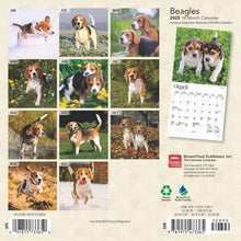 Load image into Gallery viewer, Browntrout Beagles 2025 7 x 7 Mini Calendar

