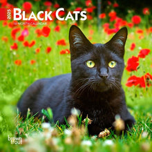 Load image into Gallery viewer, Browntrout Black Cats 2025 7 x 7 Mini Calendar
