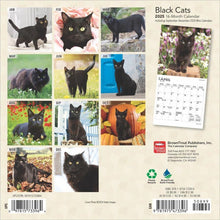 Load image into Gallery viewer, Browntrout Black Cats 2025 7 x 7 Mini Calendar
