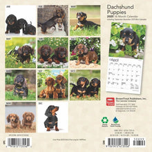 Load image into Gallery viewer, Browntrout Dachshund Puppies 2025 7 x 7 Mini Calendar
